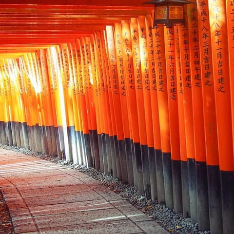 Active Japan: Kyoto to Tokyo Island Hopping