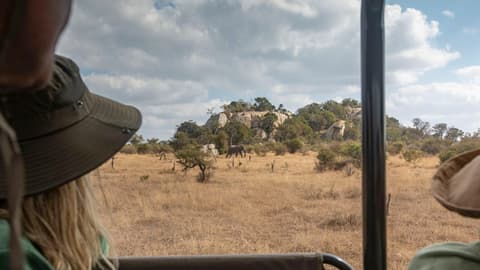 Southern Africa: National Parks of Zimbabwe & Kruger Wildlife Tracking