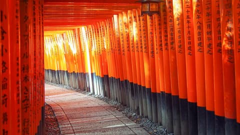 Active Japan: Kyoto to Tokyo Island Hopping