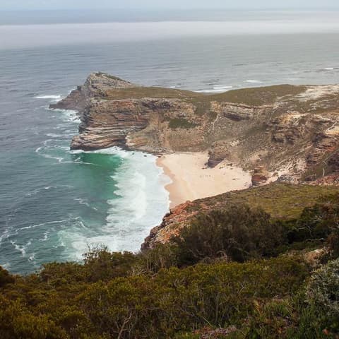Cape & Dunes Discoverer