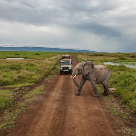 Kenya to Zimbabwe Overland Safari & Participation Camping
