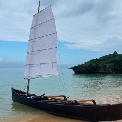 Active Japan: North to South Adventure