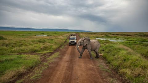 Kenya to Zimbabwe Overland Safari & Participation Camping