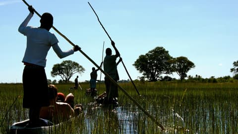 Delta & Falls Eastbound: Baobab Trees & River Views