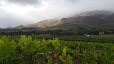 South Africa: Cape Town & The Garden Route