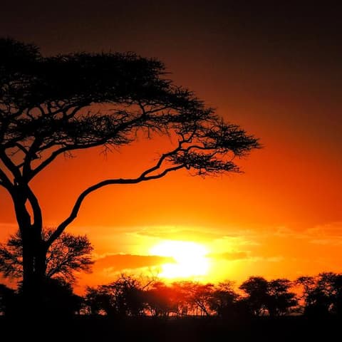 Nairobi to Zanzibar: Serengeti & Sunsets