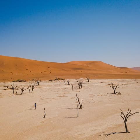 Journeys: Discover Namibia & Victoria Falls