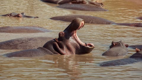 Kenya: Cultural Connections, Mt Kenya & Maasai Mara