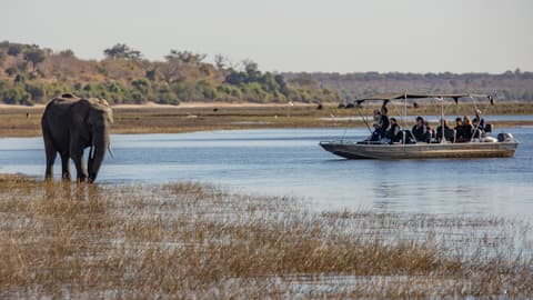 Zimbabwe & Botswana: Chobe, Hwange & Lake Kariba