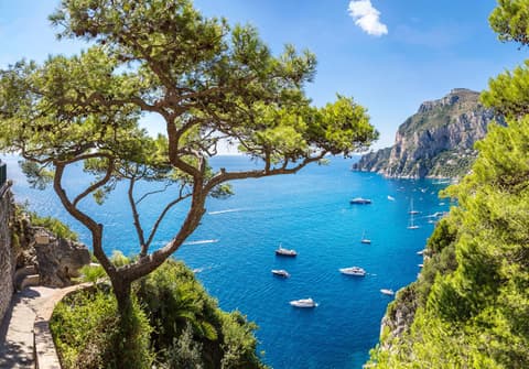 Sorrento & Ischia