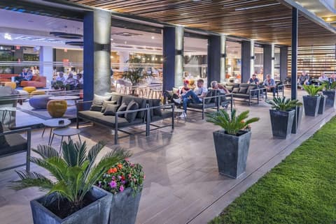 President Calella, Terrace