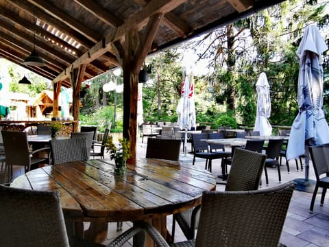 Ribno Alpine Hotel, Terrace