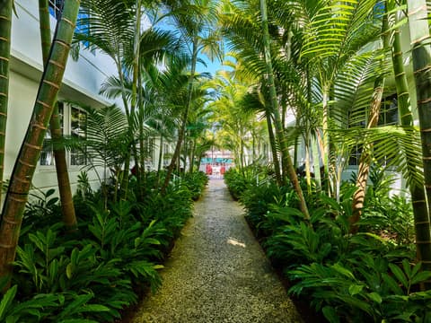 AxelBeach Miami-Adults Only