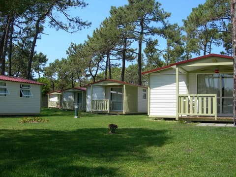 PARQUE DE CAMPISMO ORBITUR GALA