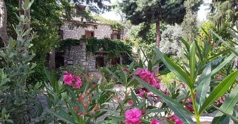 MEDUSA HOUSE BOUTIQUE HOTEL