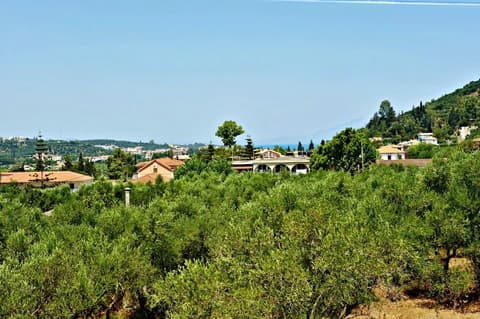 STUDIOS DIMITRIS GIATRAS