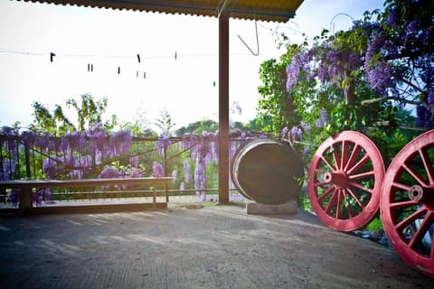 AGRITURISMO COGNANELLO