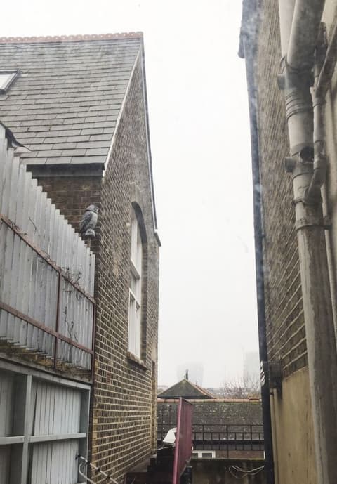 CITY LODGE SHADWELL, 