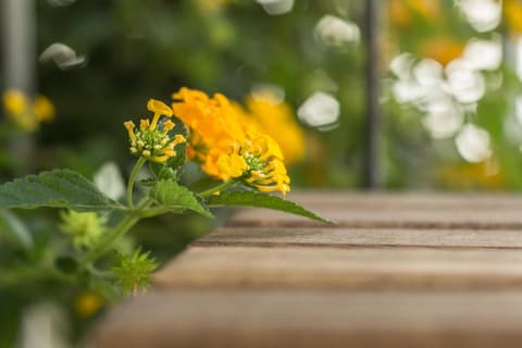 Bed & Breakfast AMATI