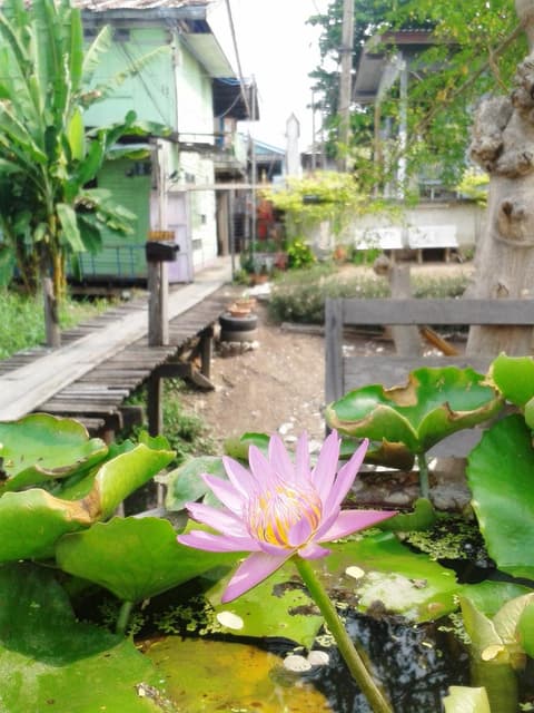 Ray Nu Guest House