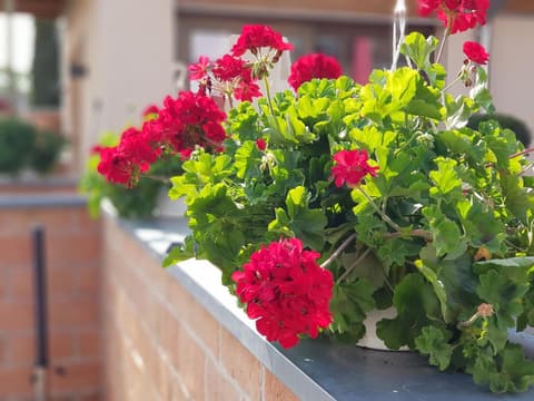 Bükkös Hotel & Spa, 