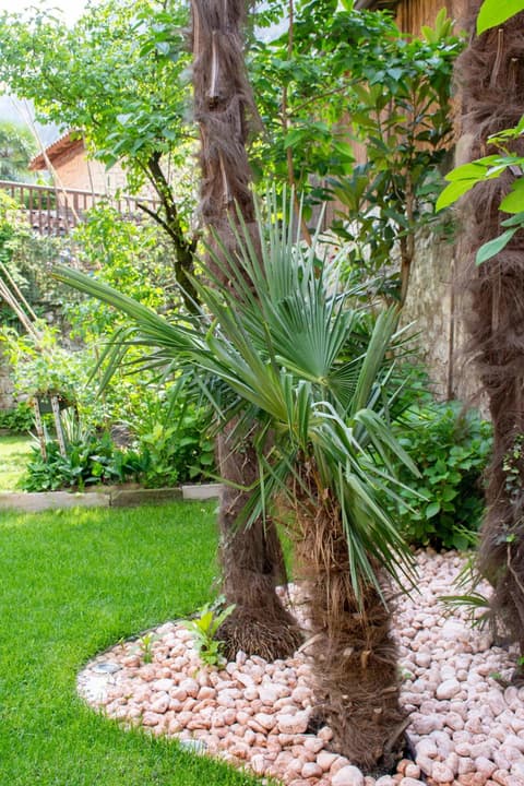 Residenza Romantica, 