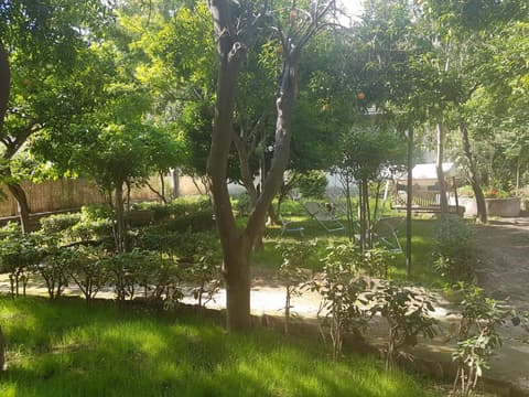 Il Giardino Di Vico Neve, 