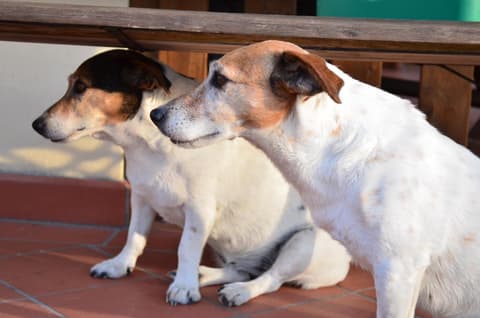 Agriturismo Ca' di Mazza