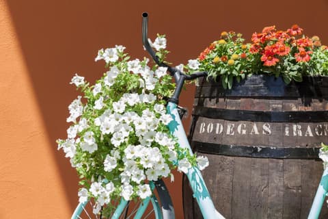 Hotel The Park Derio