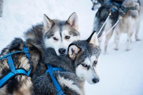 Scandinavian Home, free parking, 