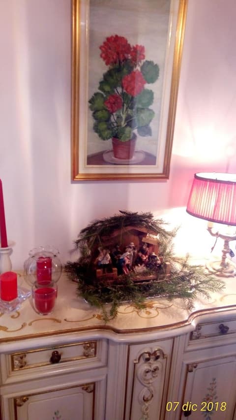 Appartamento Piuisna