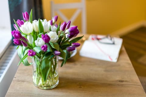 Cichy Zakątek Apartament przy Starym Rynku