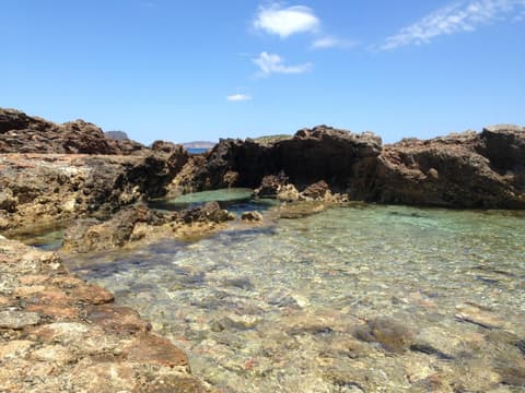 Jacaranda Apartments & Studios