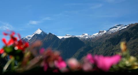 Katharina's Sleepover - Budget Holiday Home