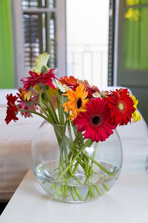 Central and Basic Universitat for YOUNG HOSTEL