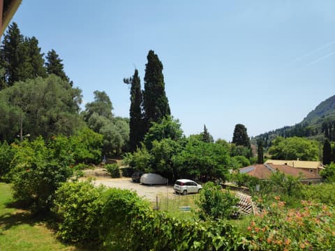 ALONI CORFU BENITSES, 