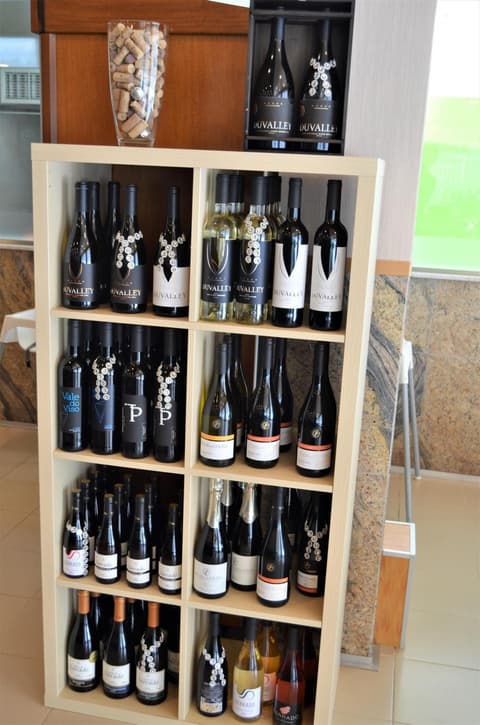 Hotel Santa Catarina Algarve, 