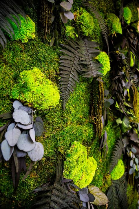 Demetra Eco Guest House