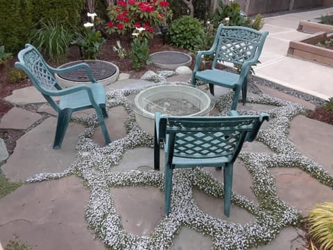 Vancouver Traveller B&B