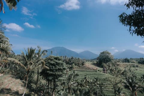 Saridevi Ecolodge