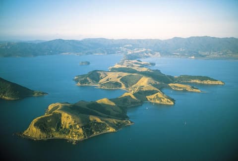 Coromandel Apartments