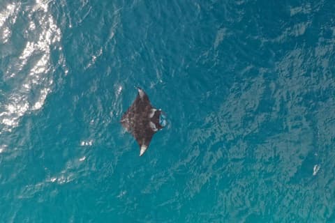 Chaalu Mathiveri Inn