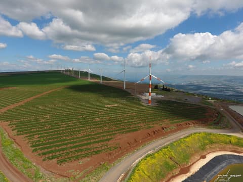 Selfie's Boutique Hotel