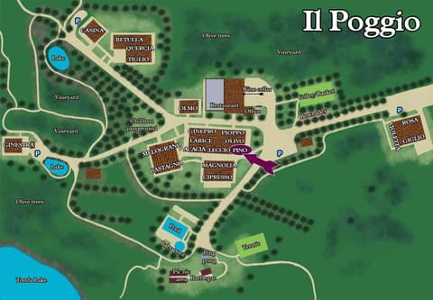 Borgo Il Poggio Agriturismo
