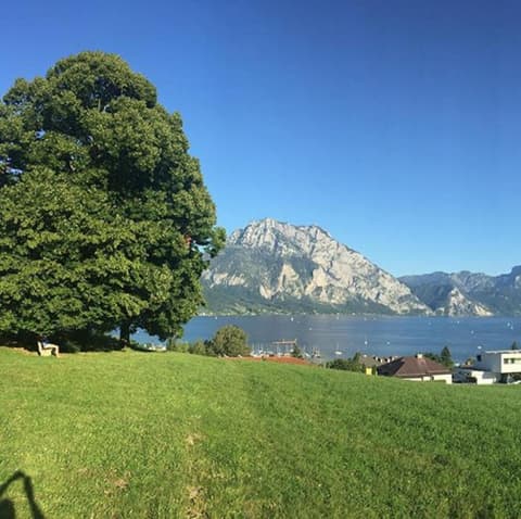 Ferienhaus Schiemel, 