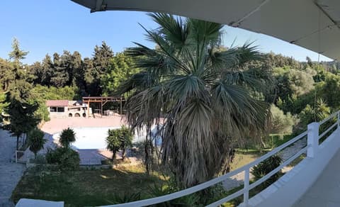 Artemis Studios - Pool and garden