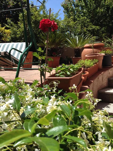 Affittacamere Ciro's House, 