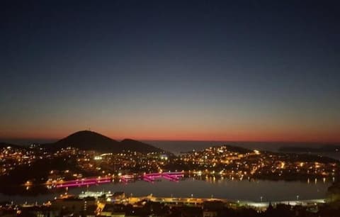 SEA VIEW FROM THE HILL