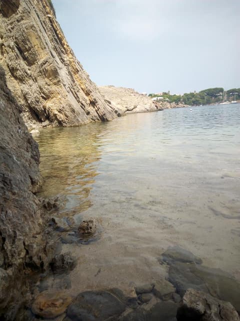 Castell Arenal Views