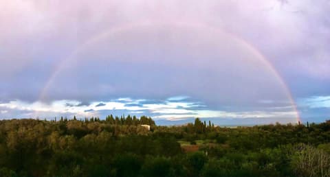ANEMOMYLOS Lefkimmi LUXUS SUITES-BOUTIQUE HOTEL & POOL